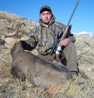 Anatolian Chamois  Tailored worldwide hunting packages in Turkey & across  the world