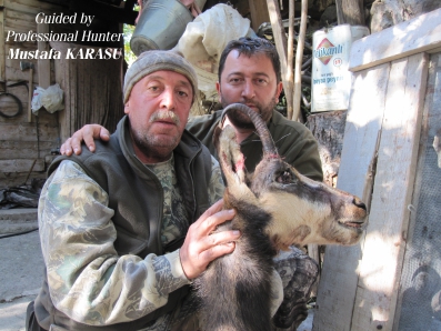 Anatolian Chamois  Tailored worldwide hunting packages in Turkey & across  the world