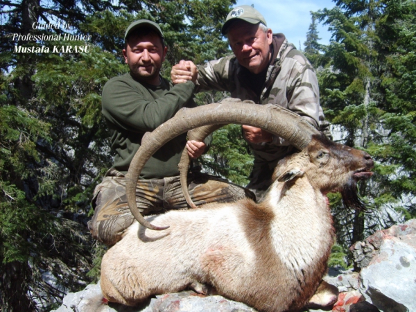 Bezoar Ibex Hunting